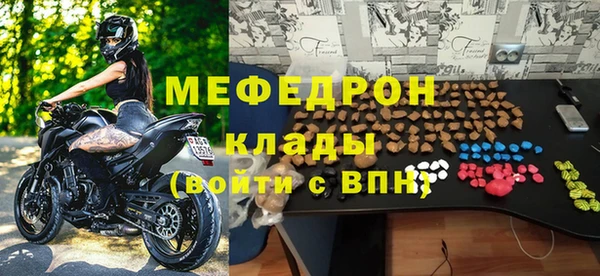 прущие грибы Горняк