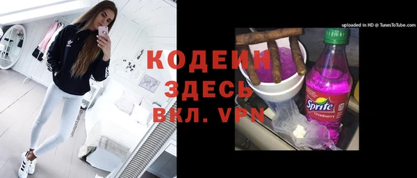 прущие грибы Горняк
