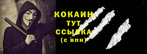 прущие грибы Горняк