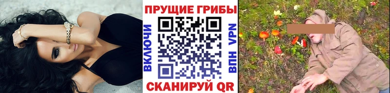 Галлюциногенные грибы Cubensis  нарко площадка Telegram  Жигулёвск  продажа наркотиков 