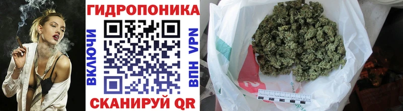 Шишки марихуана планчик  купить наркотики сайты  OMG как войти  Жигулёвск 